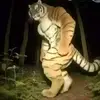 Brandon - @brandonxxvogel - TikTok