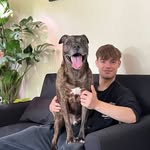 Brandon Wallis - @brandonwallis0404 - Instagram