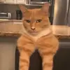 Brandonware - @brandonware_ - TikTok