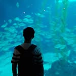 brandon - @brandonwellington - Instagram