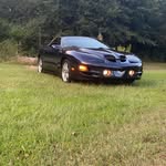 Brandon Wesson - @brandon_s_wesson - Instagram