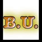 Brandon Westbrook - @bu_enterprises - Instagram