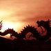Brandon Blaze - Westman Dragon Boat Association - Facebook
