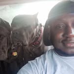 Brandon Whitfield - @flapjack_n_snackiechan - Instagram