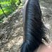 Brandon Widener - Facebook