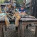Brandon Wieser - Facebook