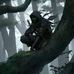 Brandon Hoffman Wilbert - Facebook