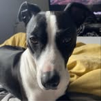 Brandon Williams - Facebook