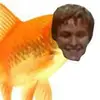 Brandon Swimmerman - @brandon_swimmerman - TikTok