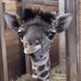 Brandon Winborne - Facebook
