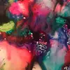 brandonwinder35 - @brandonwinder35 - TikTok