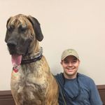 Brandon Windham - @bwind64 - Instagram