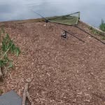 Brandon Wing - @brandonwing2008 - Instagram