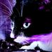 Brandon Winslow - Facebook