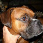 Brandon Wireman - @bwireman85 - Instagram
