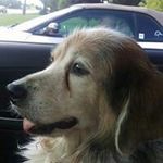 Brandon Wirth - @brandonman_882 - Instagram
