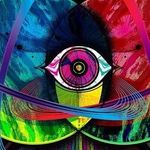 Brandon Witt - @brandonwitt7 - Instagram