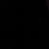 Brandon - @brandonwitz1 - TikTok