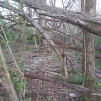 Brandon Wix - Facebook