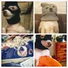 BRĀŃDºŃ ÅLËX4ŃDÊR - @brandon_alandexander_c_a - TikTok