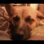 Brandon Yuen - @brandy_pop_2003 - Instagram