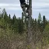 Brandon Bundy Zehr - @brandonbundyzehr - TikTok