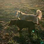 Brandy Adkins - @brandyadkins36 - Instagram