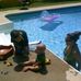 Brandy Adkins - Facebook