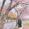 BrandyArias - @brandyariaszqwqpyw - TikTok