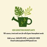 Brandy Bentley - @nahouseplants541 - Instagram
