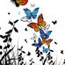 Brandi Bergeron - Facebook