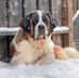 Brandy Brunson - Facebook