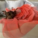 brandy - @brandy_cabrera - Instagram
