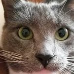 Brandy Carter - @brandy.carterm - Instagram