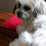 Brandy Church - @churchbrandy - Instagram