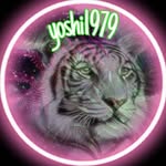 Brandy Church - @tigerlady1979 - Instagram