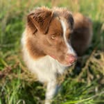 Brandy my Sweetheart from the Church Mountain Ranch - @brandy_my_sweetheart - Instagram