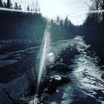 Brandy Cooke - @brabbit46 - Instagram