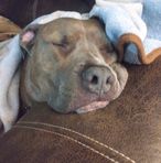 Brandy Dalton - Facebook