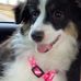 Brandy Dalton - Facebook