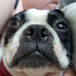 brandy dawson - @brandysclosetcleanout - Instagram