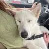 Brandy Duncan - @mom_from_enorb77 - TikTok