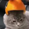 Brady Dyson - @brady.in.love - TikTok