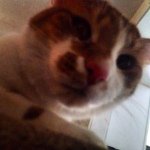Brandy Floyd - @bafloyd22 - Instagram