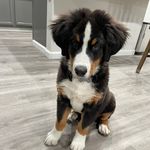 Brandy Fry - @brandyfry66 - Instagram