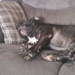 Brandy Fry - @frybrandy - Instagram