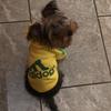 Brandi Goolsby - @peanut.baddog - TikTok
