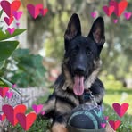 Brandy Hale - Facebook