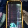 brandyhale8876 - @channa845 - TikTok