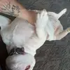 Brandy Hefner - @brandy.hefner - TikTok